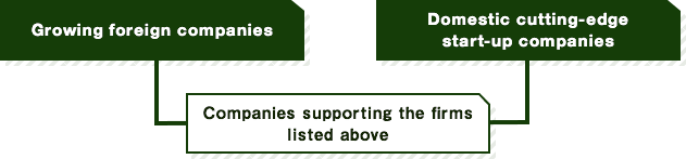 Main target of business