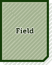 Field